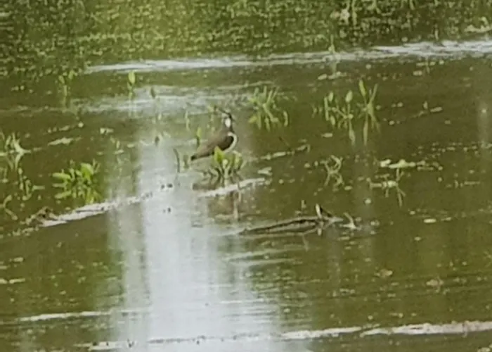 Vakantieboerderij Az.agr.cascina Moretta *