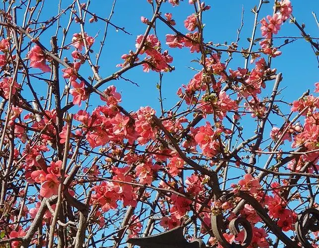 Az.agr.cascina Moretta