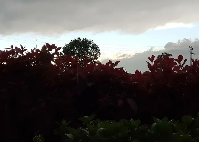 Az.agr.cascina Moretta * Momo