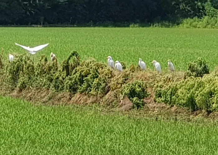 Vakantieboerderij Az.agr.cascina Moretta *