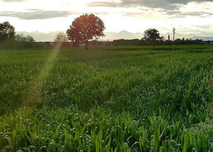 Az.agr.cascina Moretta *