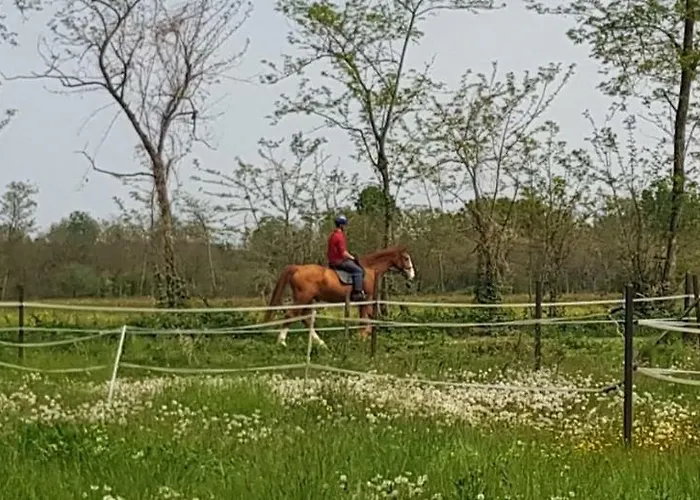 Az.agr.cascina Moretta Vakantieboerderij Momo