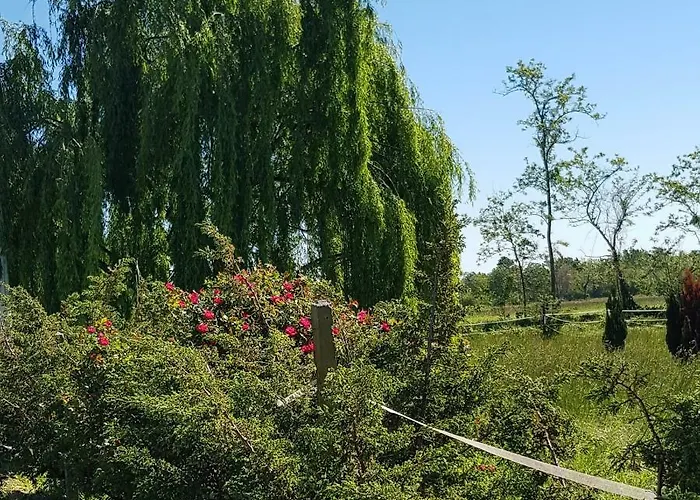 Az.agr.cascina Moretta *