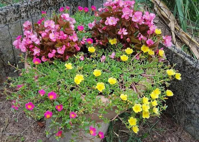 Az.agr.cascina Moretta * Momo