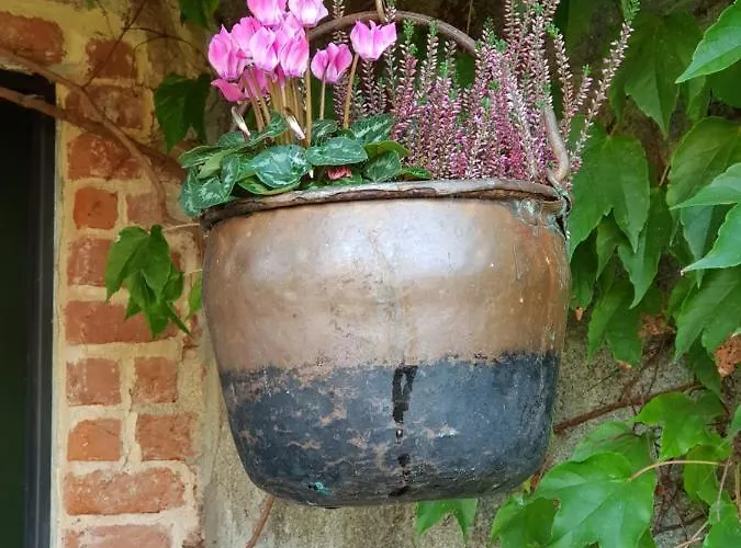 Vakantieboerderij Az.agr.cascina Moretta Momo